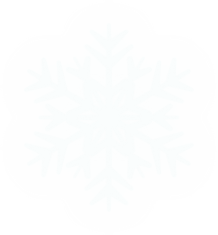 Winter Snowflake Illustration